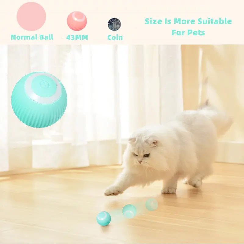 Smart Cat Ball Toys My StoreI bought three.