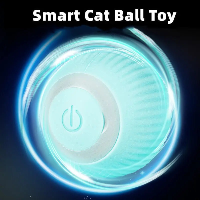 Smart Cat Ball Toys My StoreI bought three.